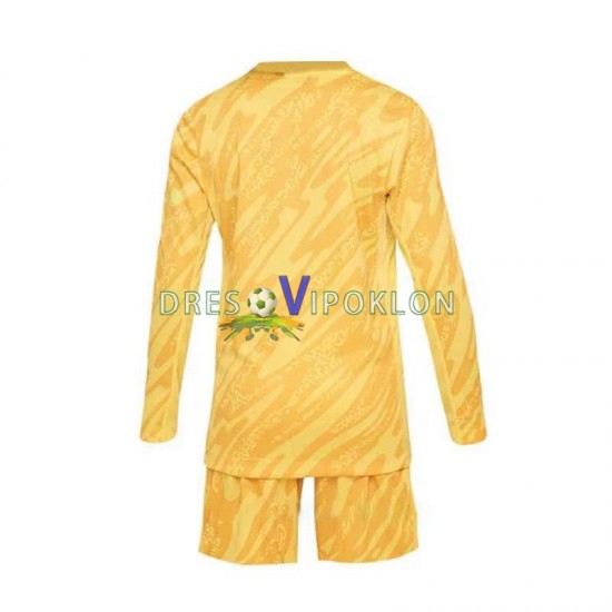 Francuska Golmanski Dres Domaći Euro 2024 Dugim Rukavima ,Dječji Komplet