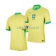 Brazil Dres Domaći Copa America 2024 Kratkih Rukava ,Muški