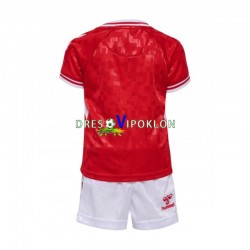 Danska Dres Domaći Euro 2024 Kratkih Rukava ,Dječji Komplet