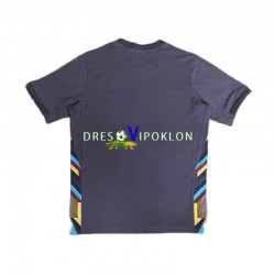 Engleska Dres Gostujući Euro 2024 Kratkih Rukava ,Muški