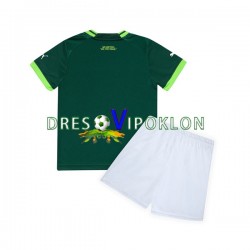 Palmeiras Dres Domaći 2023-2024 Kratkih Rukava ,Dječji Komplet