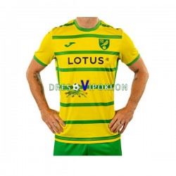 Norwich City Dres Domaći 2023-2024 Kratkih Rukava ,Muški