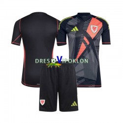 Wales Golmanski Dres Domaći 2024 Kratkih Rukava ,Dječji Komplet