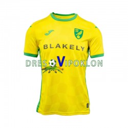 Norwich City Dres Domaći 2024-2025 Kratkih Rukava ,Muški
