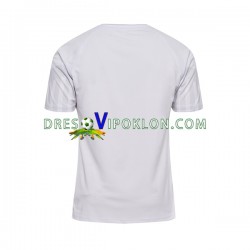 Danska Dres Gostujući World Cup 2022 Kratkih Rukava ,Muški