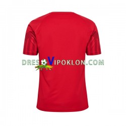 Danska Dres Domaći World Cup 2022 Kratkih Rukava ,Muški