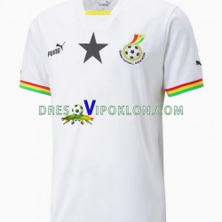 Gana Dres Domaći World Cup 2022 Kratkih Rukava ,Muški
