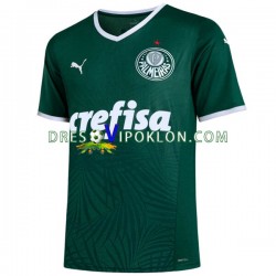 Palmeiras Dres Domaći 2022-2023 Kratkih Rukava ,Muški
