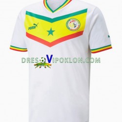Senegal Dres Domaći World Cup 2022 Kratkih Rukava ,Muški