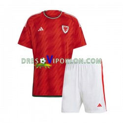 Wales Dres Domaći World Cup 2022 Kratkih Rukava ,Dječji Komplet